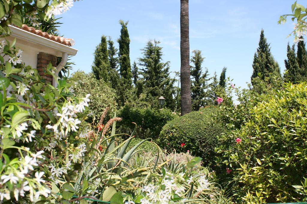 Cortijo Andaluz Bed and Breakfast Alhaurín el Grande Εξωτερικό φωτογραφία