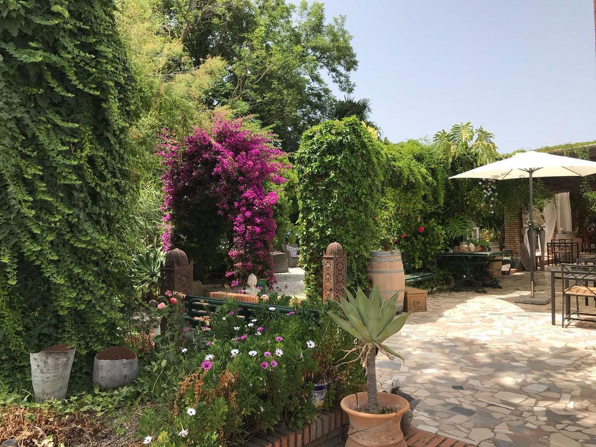 Cortijo Andaluz Bed and Breakfast Alhaurín el Grande Εξωτερικό φωτογραφία