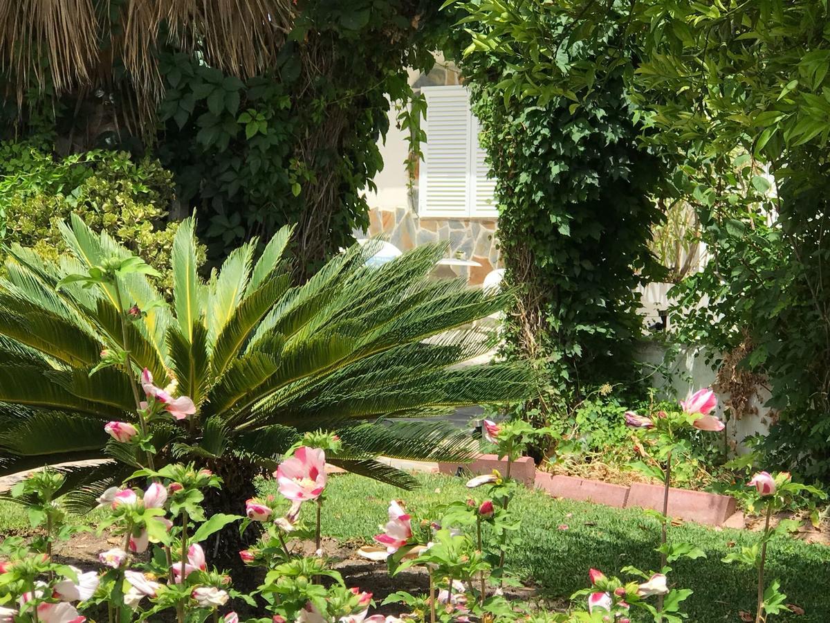Cortijo Andaluz Bed and Breakfast Alhaurín el Grande Εξωτερικό φωτογραφία
